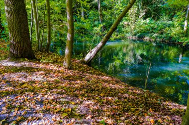 Sonbahar Gölü. Sudaki ağaçların yansımaları. renkli düşüş.