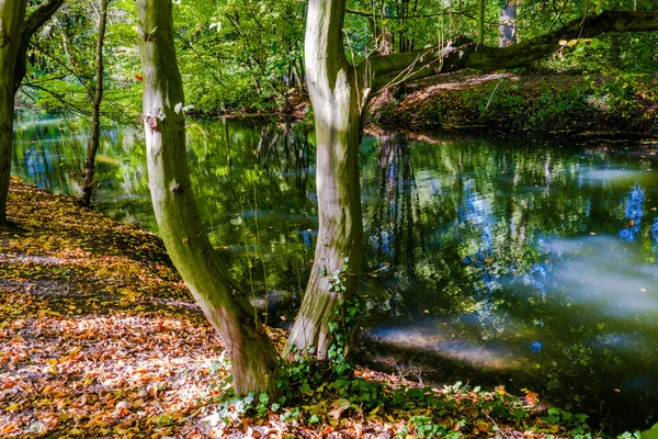 Jesienne Jezioro Odbicia Drzew Wodzie Kolorowy Upadek — Zdjęcie stockowe