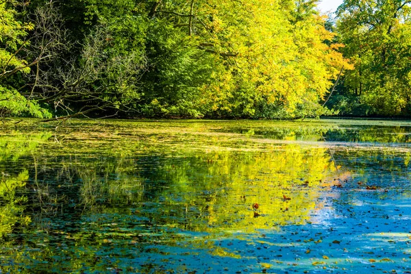 Autumn Lake Reflections Trees Water Colorful Fall — Stock Photo, Image