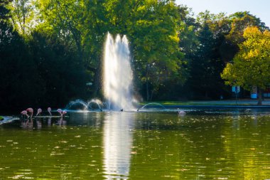 Sonbahar parkında fıskiyeler ve su sıçratır.