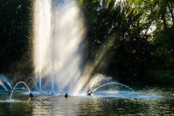 Fountain Water Jets Splashes Autumn Park — Stock Photo, Image