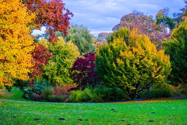 Herbstwald Mit Bunten Blättern Der Natur — Stockfoto