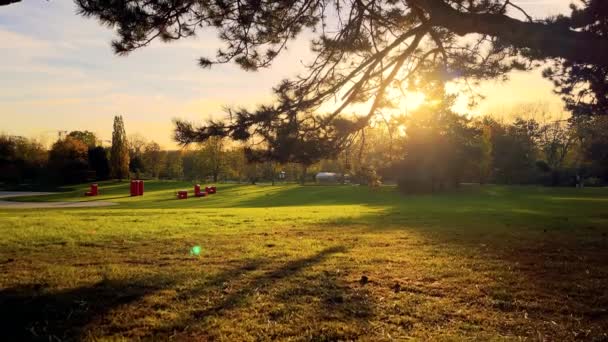 Πολύχρωμο Ηλιοβασίλεμα Στο Φυσικό Πάρκο Φθινόπωρο Δέντρα — Αρχείο Βίντεο