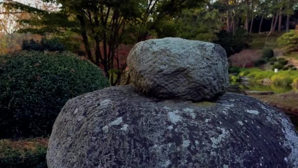 アヒルの湖と公園のカラフルな夕日の日本庭園 — ストック動画