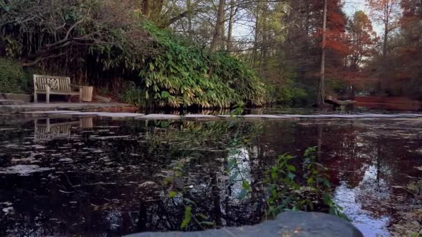 公园里的日本花园 色彩艳丽的落日 还有鸭湖 — 图库视频影像