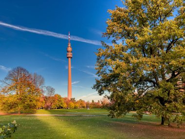 Günbatımlı sonbahar parkında TV kulesi