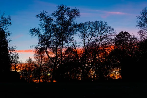 Färgglad Höst Solnedgång Bakom Träden Parken Med Skuggor — Stockfoto