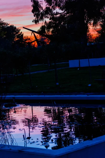 Pôr Sol Colorido Outono Atrás Das Árvores Parque Com Sombras — Fotografia de Stock