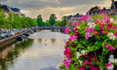 Hollanda 'nın tarihi Haarlem' inde köprüdeki saksıda çiçekler