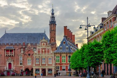 De Grote Kerk veya St. Bavokerk, Grote Markt, Haarlem, Kuzey Hollanda, Hollanda 'daki Protestan bir kilise.