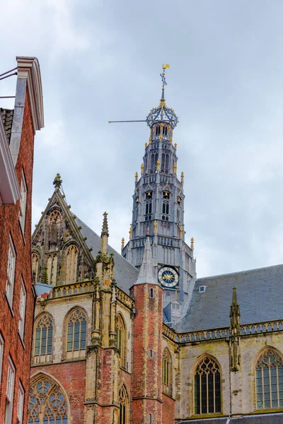 Grote Kerk Bavokerk Una Chiesa Protestante Sul Grote Markt Haarlem — Foto Stock