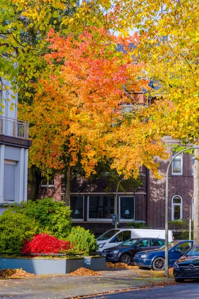 stock image autumn season warm sunlight with colorful trees and leaves in park