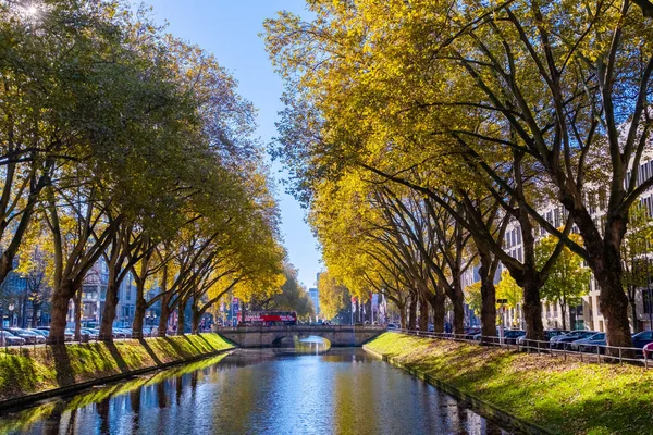 Almanya 'nın Düsseldorf şehrinde Ren nehri. Binaları olan ünlü bir yer.