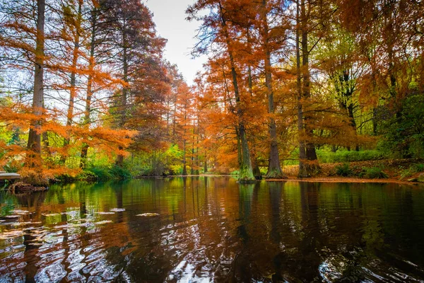 Słoneczny Dzień Jesienią Drzewa Żółtą Pomarańczą Czerwone Liście — Zdjęcie stockowe