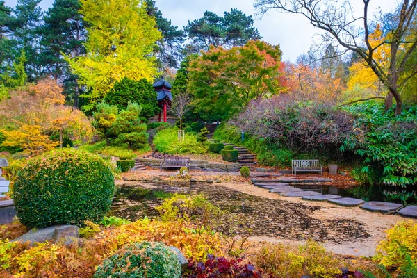 Zonnige Dag Herfst Bomen Met Geel Oranje Rode Bladeren — Stockfoto