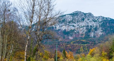 Avusturya Alpleri, Yeşil çayırlar, Alp evleri ve dağlar