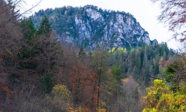 Avusturya Alpleri, Yeşil çayırlar, Alp evleri ve dağlar