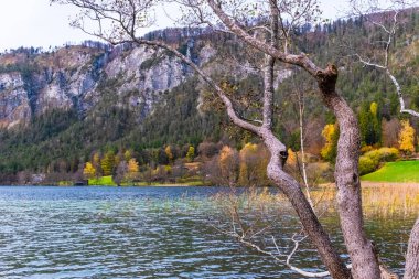 Avusturya Alpleri, Yeşil çayırlar, Alp evleri ve dağlar