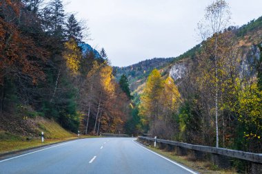 Avusturya Alpleri, Yeşil çayırlar, Alp evleri ve dağlar