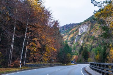 Avusturya Alpleri, Yeşil çayırlar, Alp evleri ve dağlar