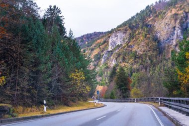 Avusturya Alpleri, Yeşil çayırlar, Alp evleri ve dağlar