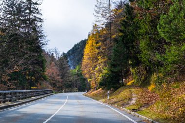 Avusturya Alpleri, Yeşil çayırlar, Alp evleri ve dağlar