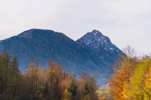 Αυστριακές Άλπεις Πράσινα Λιβάδια Αλπικές Κατοικίες Και Βουνά — Φωτογραφία Αρχείου