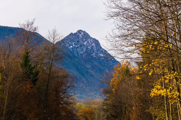 Österreichische Alpen Grüne Wiesen Almhütten Und Berge — Stockfoto