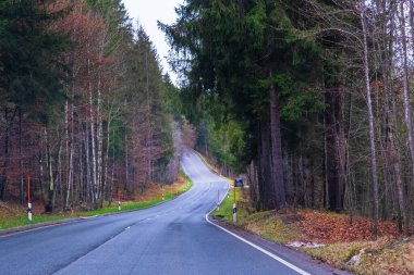Avusturya Alpleri, Yeşil çayırlar, Alp evleri ve dağlar