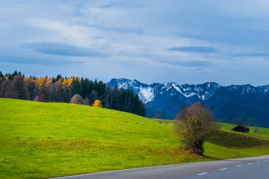 Avusturya Alpleri, Yeşil çayırlar, Alp evleri ve dağlar