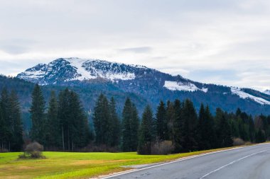 Avusturya Alpleri, Yeşil çayırlar, Alp evleri ve dağlar