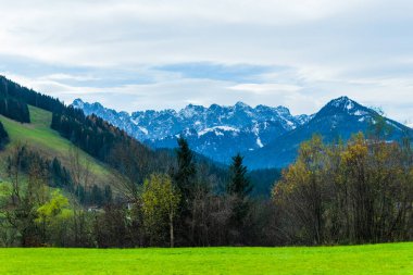 Avusturya Alpleri, Yeşil çayırlar, Alp evleri ve dağlar