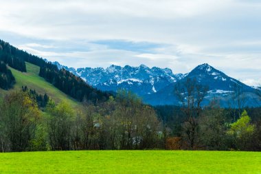 Avusturya Alpleri, Yeşil çayırlar, Alp evleri ve dağlar