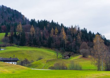 Avusturya Alpleri, Yeşil çayırlar, Alp evleri ve dağlar