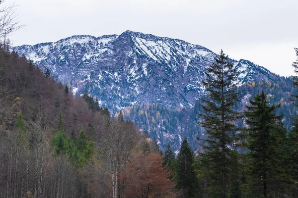 Alpi Austriache Prati Verdi Baite Montagne — Foto Stock
