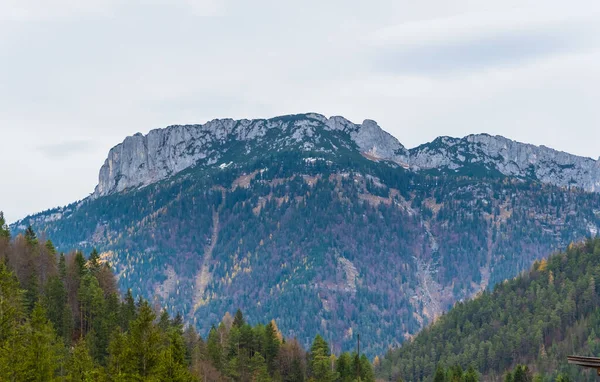 Austrian Alps Green Meadows Alpine Cottages Mountains — Stock Photo, Image