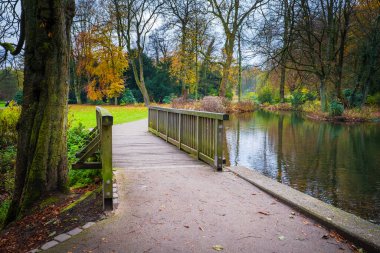 Sonbahar mevsimi. Renkli ağaçlar ve yapraklarla sıcak güneş ışığı.