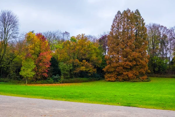 Herfst Seizoen Warm Zonlicht Met Kleurrijke Bomen Bladeren — Stockfoto