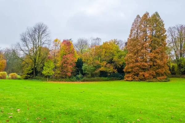Sonbahar mevsimi. Renkli ağaçlar ve yapraklarla sıcak güneş ışığı.