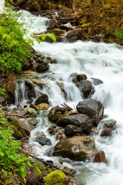 Dağlardaki nehir, harika bahar manzarası.