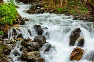 Dağlardaki nehir, harika bahar manzarası.