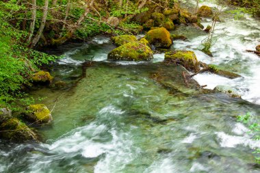 Dağlardaki nehir, harika bahar manzarası.