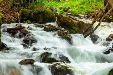Dağlardaki nehir, harika bahar manzarası.