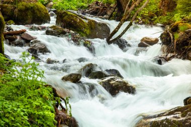 Dağlardaki nehir, harika bahar manzarası.