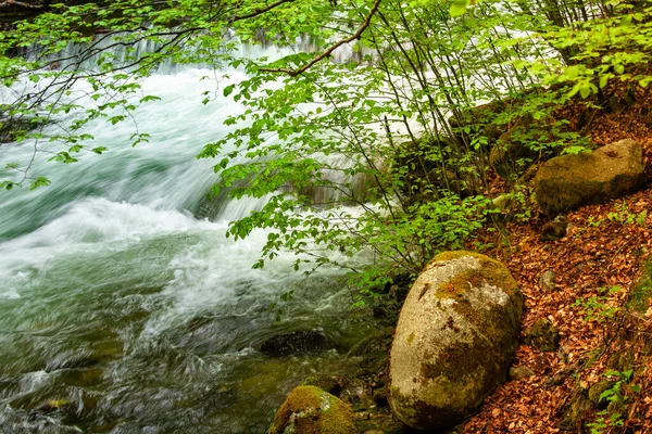 Rivière Dans Les Montagnes Merveilleux Paysage Printanier — Photo