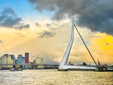 Roterdam şehri, Hollanda. Limanı ve Erasmus Köprüsü, Rotterdam Skylines ile mimari başkenti.