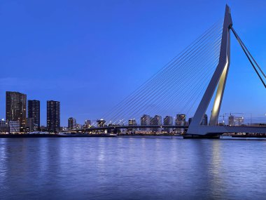 Roterdam şehri, Hollanda. Limanı ve Erasmus Köprüsü, Rotterdam Skylines ile mimari başkenti.