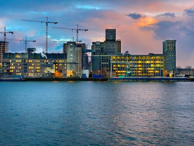 Roterdam şehri, Hollanda. Limanı ve Erasmus Köprüsü, Rotterdam Skylines ile mimari başkenti.