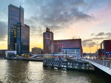 Roterdam şehri, Hollanda. Limanı ve Erasmus Köprüsü, Rotterdam Skylines ile mimari başkenti.