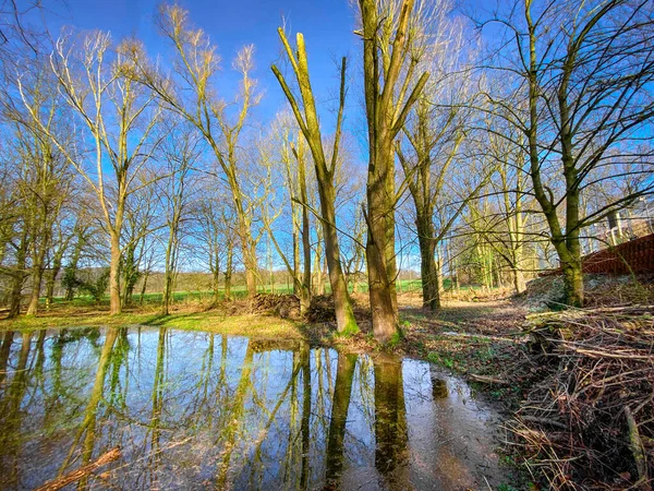 Wasserburg Mit Bäumen Und Spiegelungen Wasser — Stockfoto